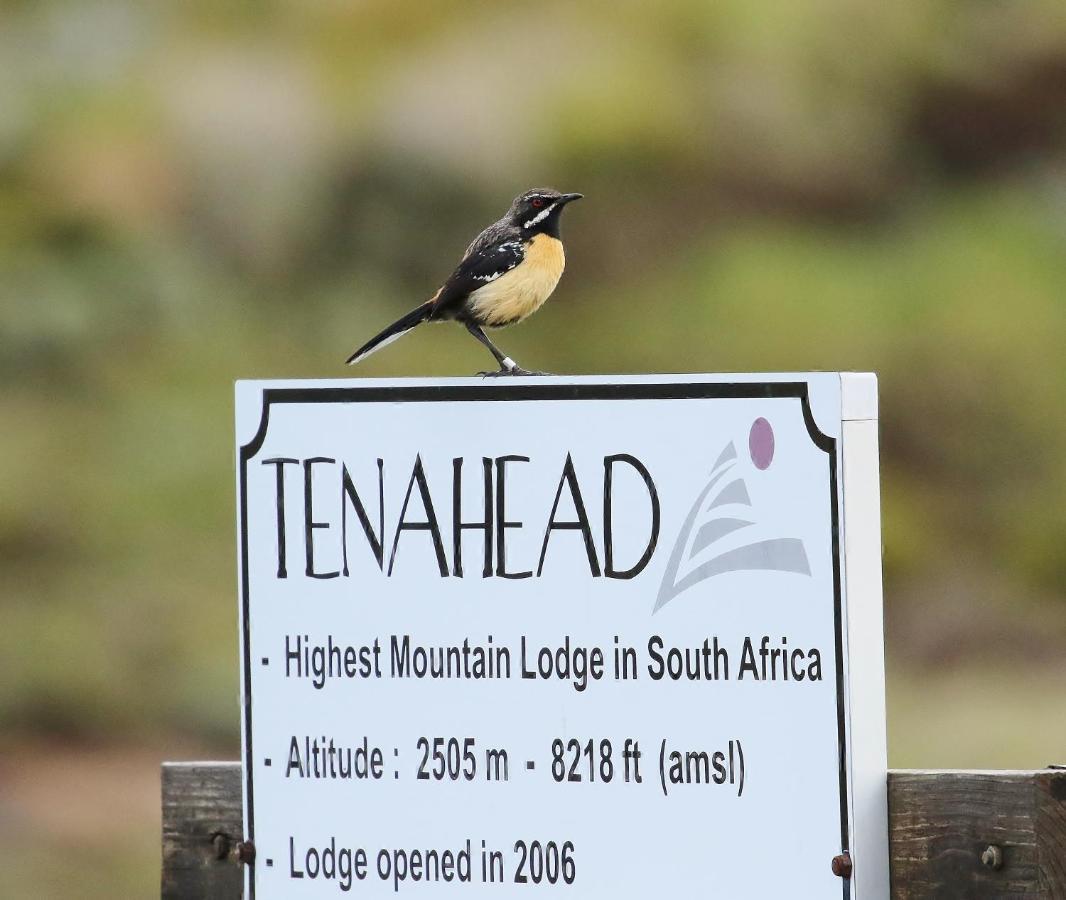 Tenahead Lodge & Spa Rhodes Extérieur photo